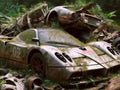 Abandoned rusty petrol super car banned for co2 emission agenda, overgrowth plants bloom flowers