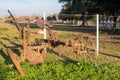 Abandoned and rusty plough. concept of abandoned sites Royalty Free Stock Photo
