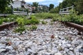 Abandoned rusty railroad track covered with green grass Royalty Free Stock Photo