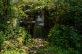 Abandoned 1960s` tile-roofed apartment building in weeds and trees