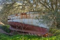 Abandoned sailboat in a field with Mediterranean wilderness