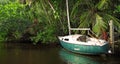 Abandoned Sailboat On Jungle River