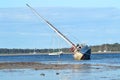 Abandoned Yacht Tin Can Bay Queensland Australia