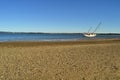 Abandoned Sailing Yacht Tin Can Bay Queensland Australia