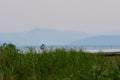 Abandoned salt evaporation pond, sea and mountains