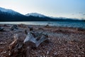 Abandoned scene of lake wanaka southland new zealand Royalty Free Stock Photo