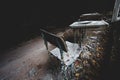 Abandoned school in Pripyat ghost town, Chernobyl Exclusion Zone. Nuclear, abandoned.