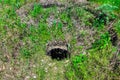 Abandoned sewer open dangerous hatch in the ground.