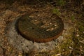 An abandoned sewer well with a cover in the forest with needles