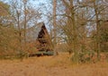 Abandoned shed in the forest in Kalmthout heath nature reserve