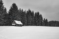 An abandoned sheepfold hut with pine trees, monochromatic Royalty Free Stock Photo