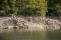 Abandoned ship wreck on the river. Royalty Free Stock Photo