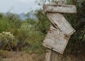 Abandoned Sign by an old mesquite tree Royalty Free Stock Photo