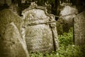 Abandoned spooky grave yard Royalty Free Stock Photo