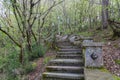 An abandoned staircase in the forest.