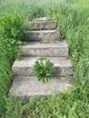 abandoned staircase leading to nowhere green grass