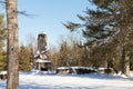 Abandoned Stone Chimney in Winter Woods