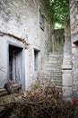 Abandoned stone house backyard