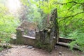 Abandoned Stone House at Wildwood Trail Morning Light