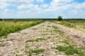 Abandoned stone paved country road, overgrown with grass. The co Royalty Free Stock Photo