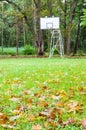 Abandoned street basketball hoop with autumnal foreground Royalty Free Stock Photo