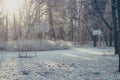 Abandoned street basketball hoop on winter frosty morning Royalty Free Stock Photo