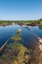 Abandoned sunken Barges Boats On River Pripyat in Chernobyl exclusion Zone. Chernobyl Nuclear Power Plant Zone of Alienation in Royalty Free Stock Photo