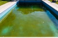 Abandoned swimming pool with green rotten water outdoors