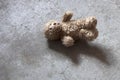 Abandoned Teddy Bear with cropped ears