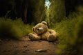 Abandoned teddy bear in the middle of nowhere on a lonely path