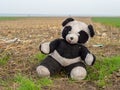 Abandoned teddy bear plush toy