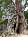 Abandoned temple, Angkor Wat, Cambodia