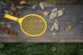 Abandoned Tennis Bat Royalty Free Stock Photo