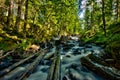 Abandoned timber rafting facility in Sweden