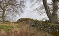 An Abandoned Tin water Trough used for Cattle lies in the corner of an overgrown Field on a Farm. Royalty Free Stock Photo