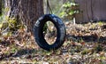 Abandoned Tire Swing Beside Home