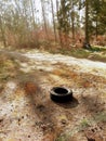 Abandoned tire in the woods