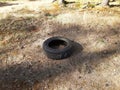 Abandoned tire in the woods