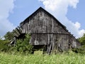 Abandoned Tobacco Barn