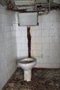 Abandoned toilet Royalty Free Stock Photo