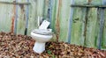 Abandoned toilet in the woods Royalty Free Stock Photo