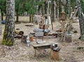 Abandoned tourist camp in the spring March forest