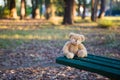 Abandoned toy left behind on the bench.