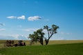 Abandoned tractor and farming equipment in an open field near a large tree in The Palouse region of Eastern Washington State Royalty Free Stock Photo