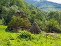 Abandoned traditional thatched roof wooden house