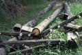 Abandoned transmission tower for overhead power line. dismantled, disassembled and broken, makeshift rough post made of a tree