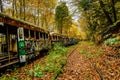 Abandoned Trolley Cars in Fall with rails in woods