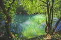 Abandoned tropical lake in jungle primeval forest Trees and snags are reflected in surface water.