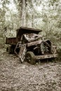 Abandoned truck in the jungle Royalty Free Stock Photo