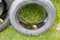 Abandoned tyre outdoor with still water from rain condusive place for aedes mosquito breeding. Selective focus on water.